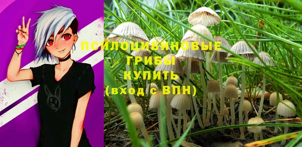 ГАЛЛЮЦИНОГЕННЫЕ ГРИБЫ Балахна