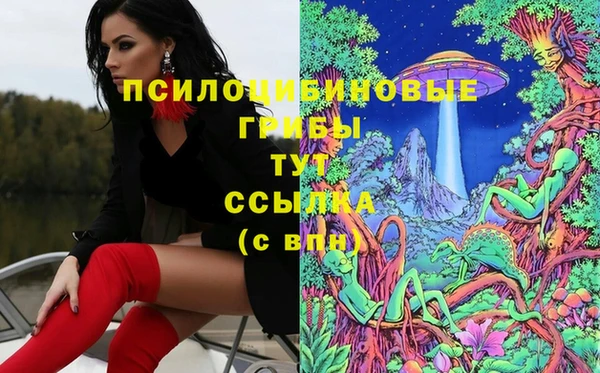 ГАЛЛЮЦИНОГЕННЫЕ ГРИБЫ Балахна